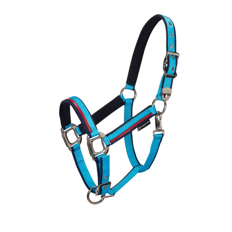 EQUESTRO - Red Trim Halter with Lead Rope