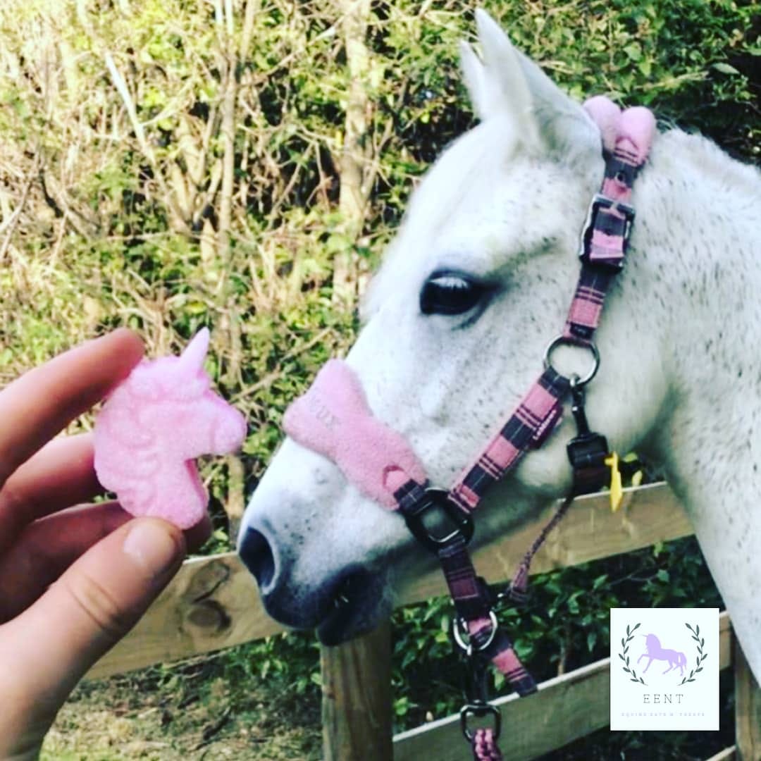 Equine Eats n'Treats - Sugar Cubes