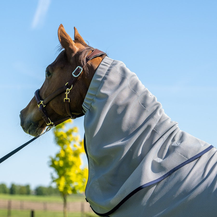 WINDEREN - Hood for Fly Rug