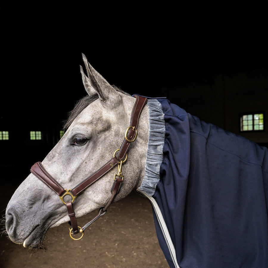 WINDEREN - Hood for Thermo Clear Rug