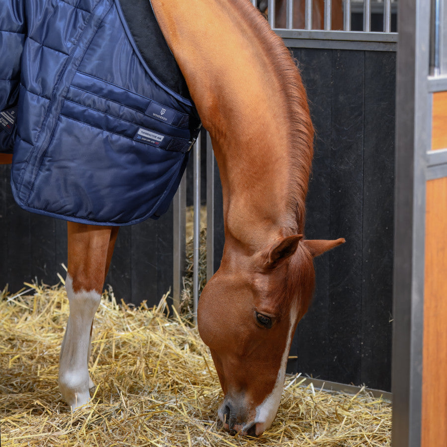 WINDEREN - Stable Rug Thermoactive Zoom 50g-200g