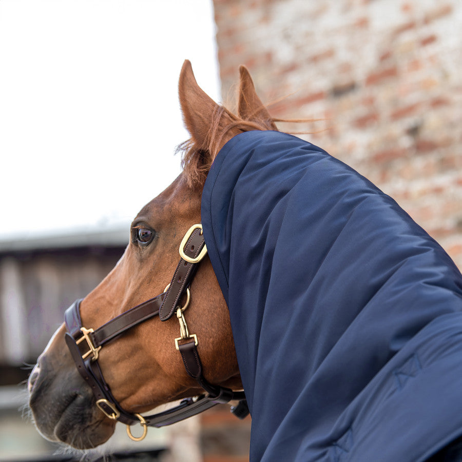 WINDEREN - Stable Rug Thermoactive Zoom 50g-200g