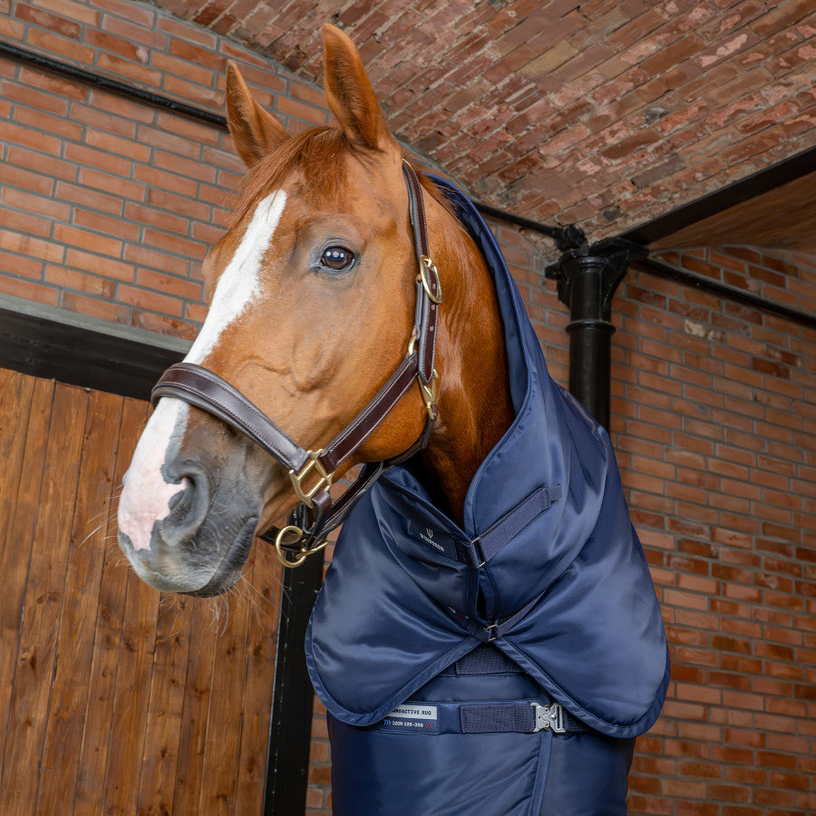 WINDEREN - Stable Rug Hood Thermoactive Zoom 100g-350g