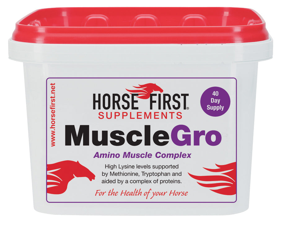 HORSE FIRST - MuscleGro