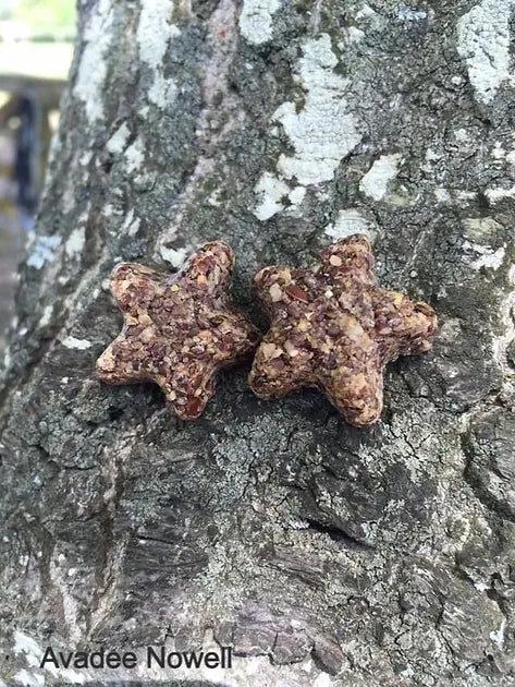 Equine Eats n'Treats - SF Friendlies Horse Treats