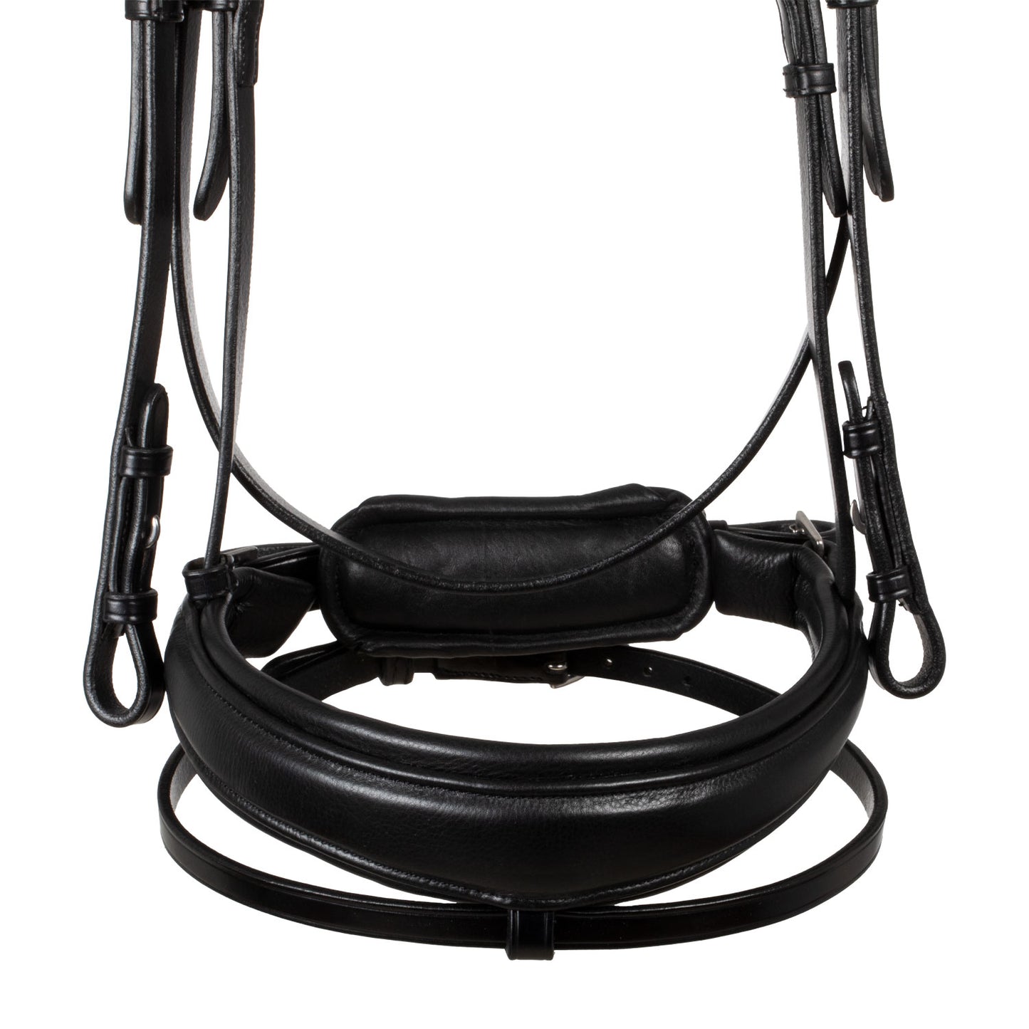 ACAVALLO - Starry Night Bridle Calfskin