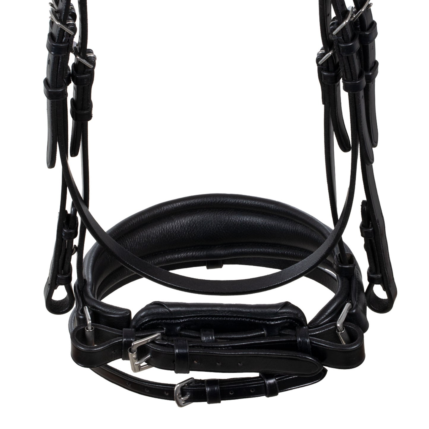 ACAVALLO - Starry Night Bridle Calfskin