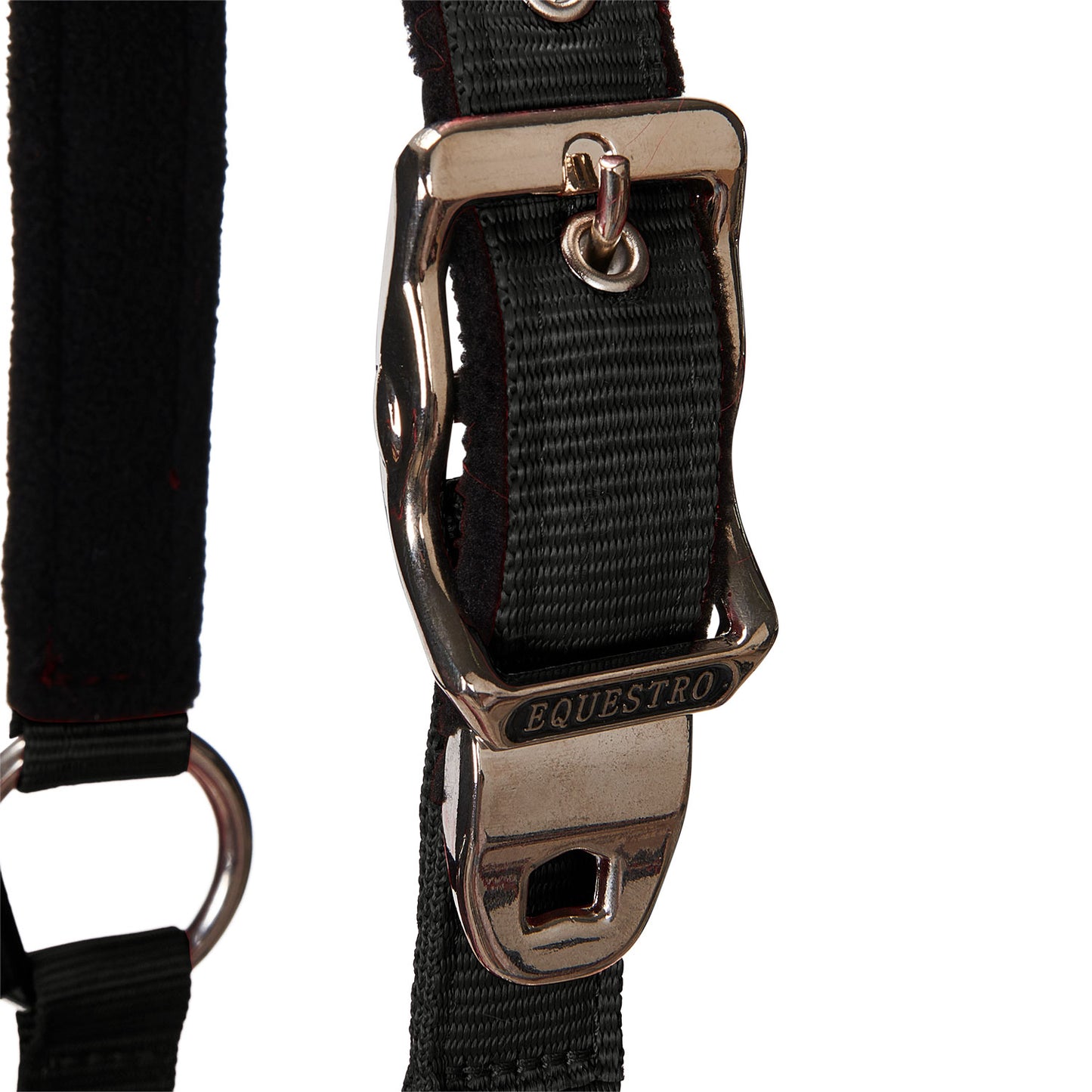 EQUESTRO - Halter with Leadrope