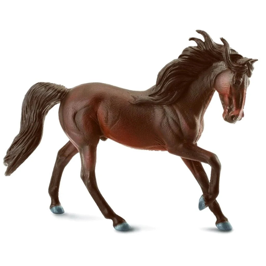 COLLECTA - Andalusian Stallion Bay