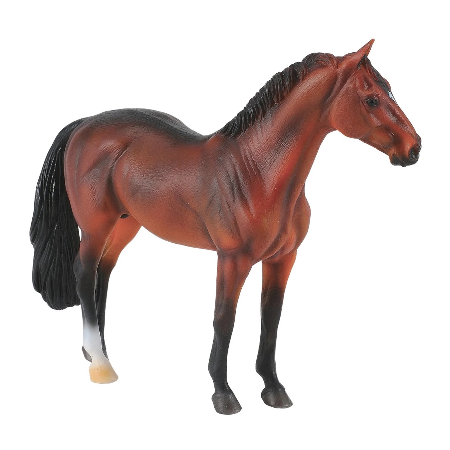 COLLECTA - Hanoverian Stallion Bay