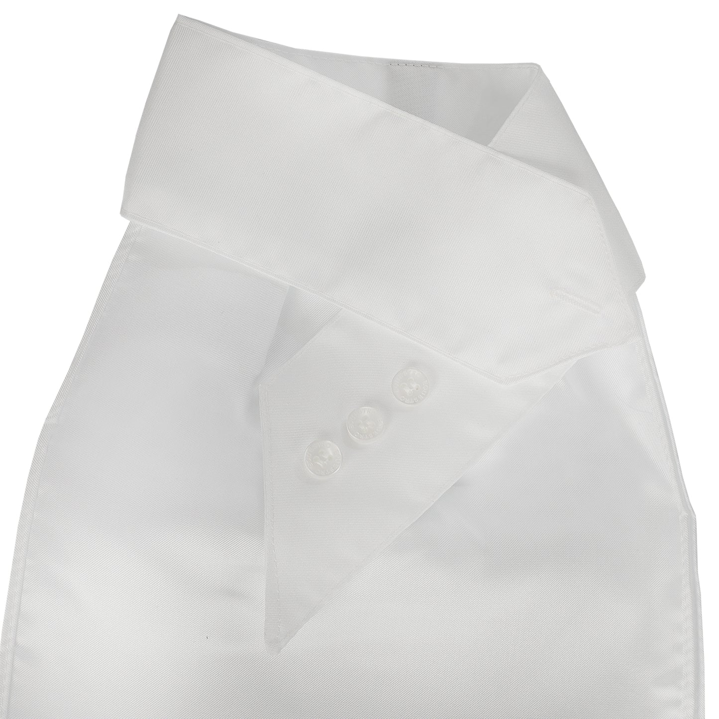 EQUESTRO - Competition Stock With Embroidered Logo