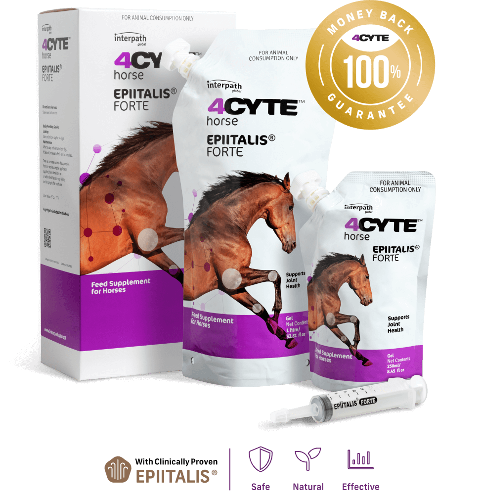 4CYTE - Epiitalis Forte Horse