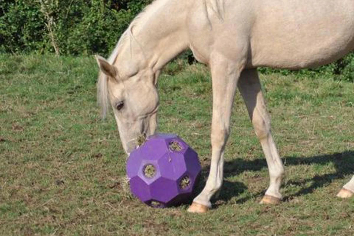 PARALLAX - Hay Play Ball