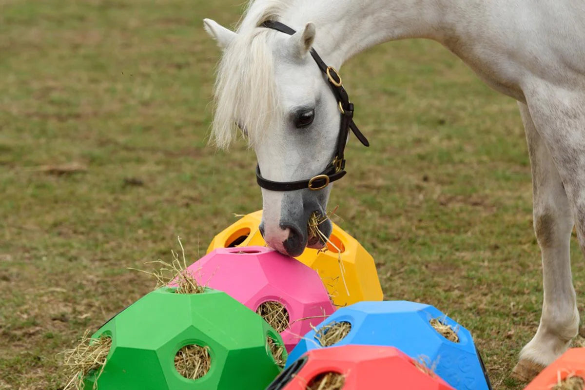 PARALLAX - Hay Play Ball