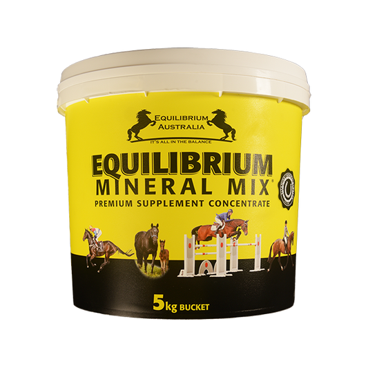 EQUILIBRIUM - Mineral Mix