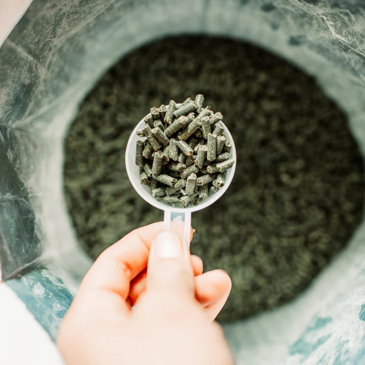 Poseidon Animal Health - Daily Balance (Digestive VM)