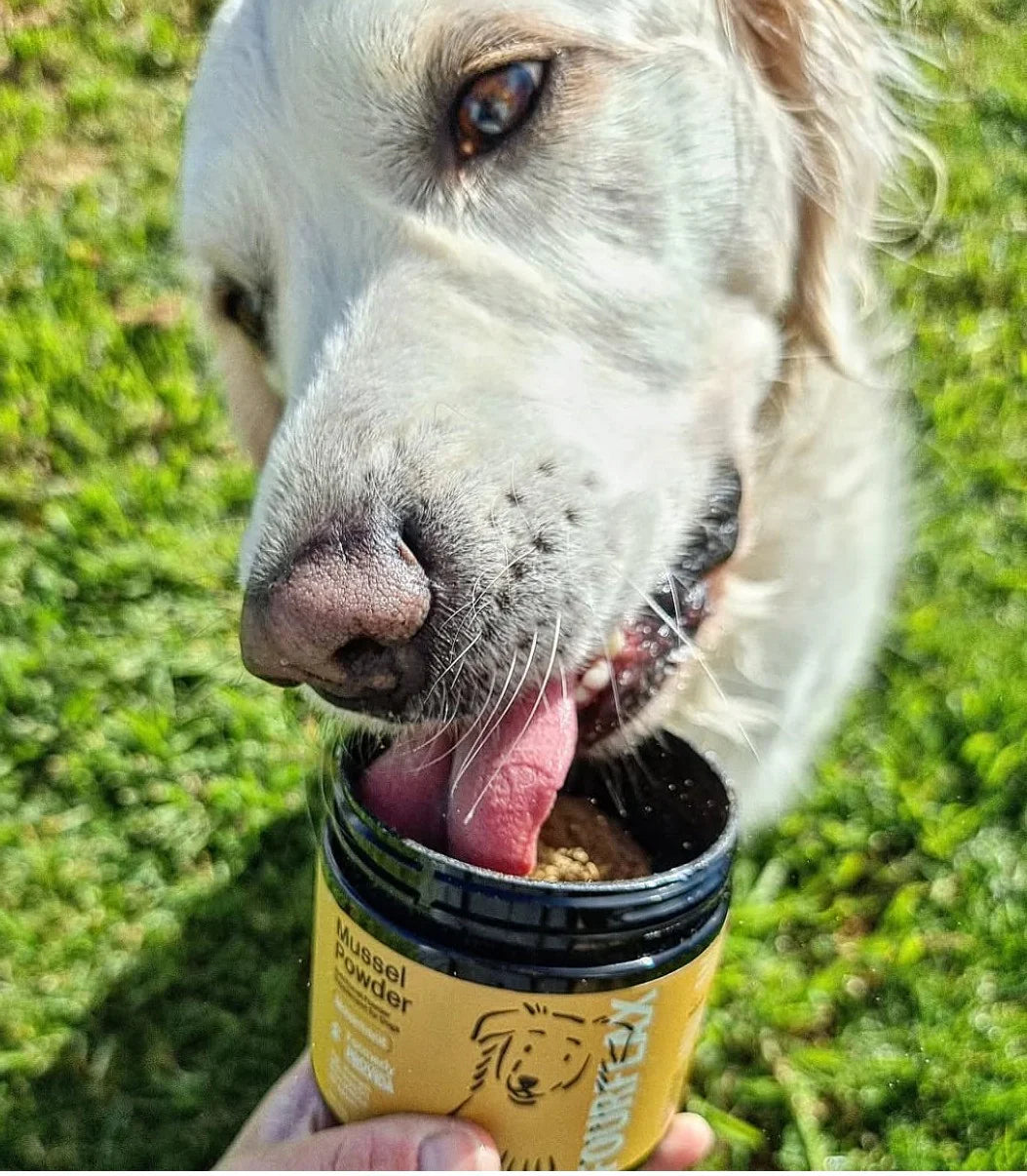FOURFLAX - Dog Mussel Powder (Joint Supplement)