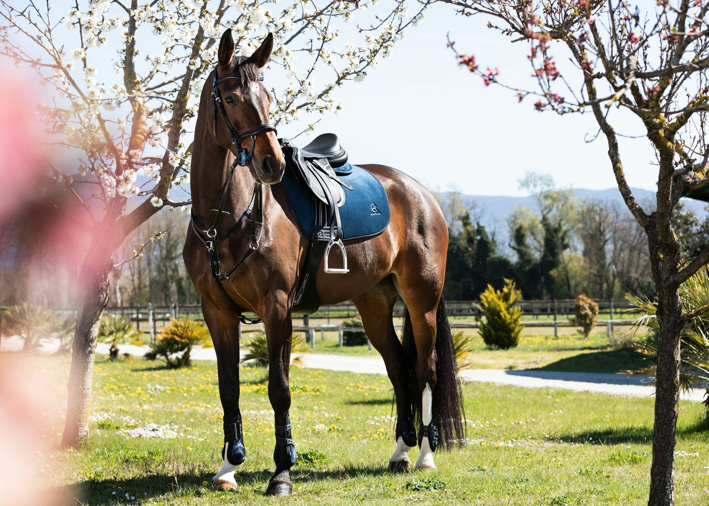 ACAVALLO - Sensitive Bit