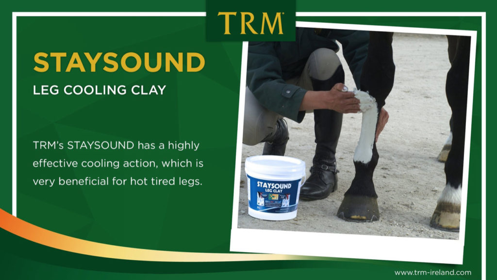 Staysound Clay Poultice