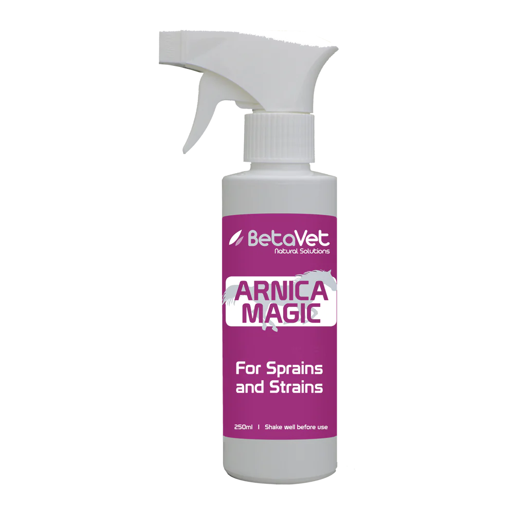 BetaVet - Arnica Magic