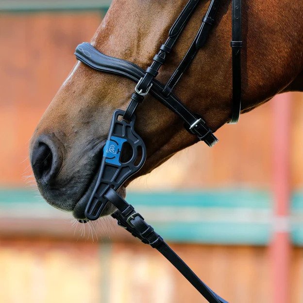 ACAVALLO - Mullen Pelham Sensitive Bit