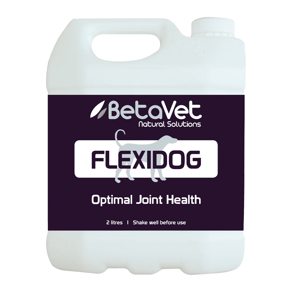 BetaVet - Flexidog