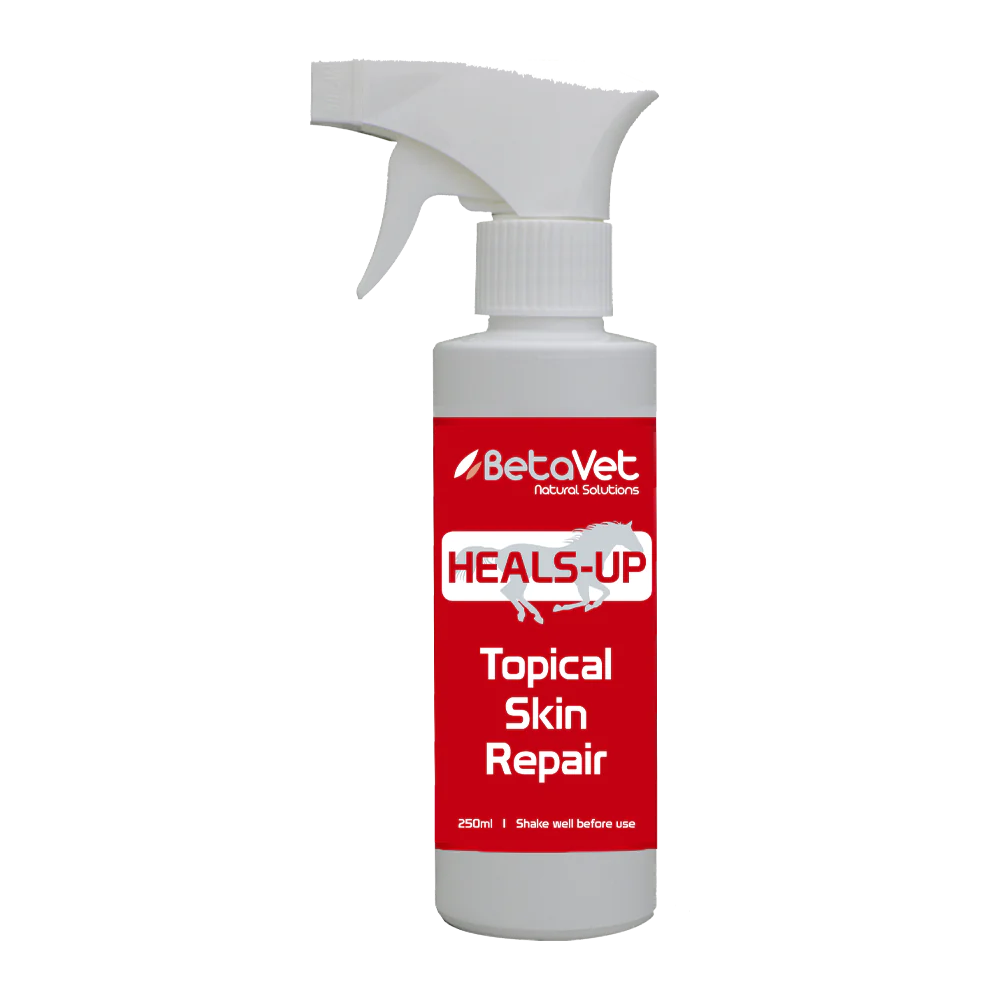 BetaVet - Heals Up