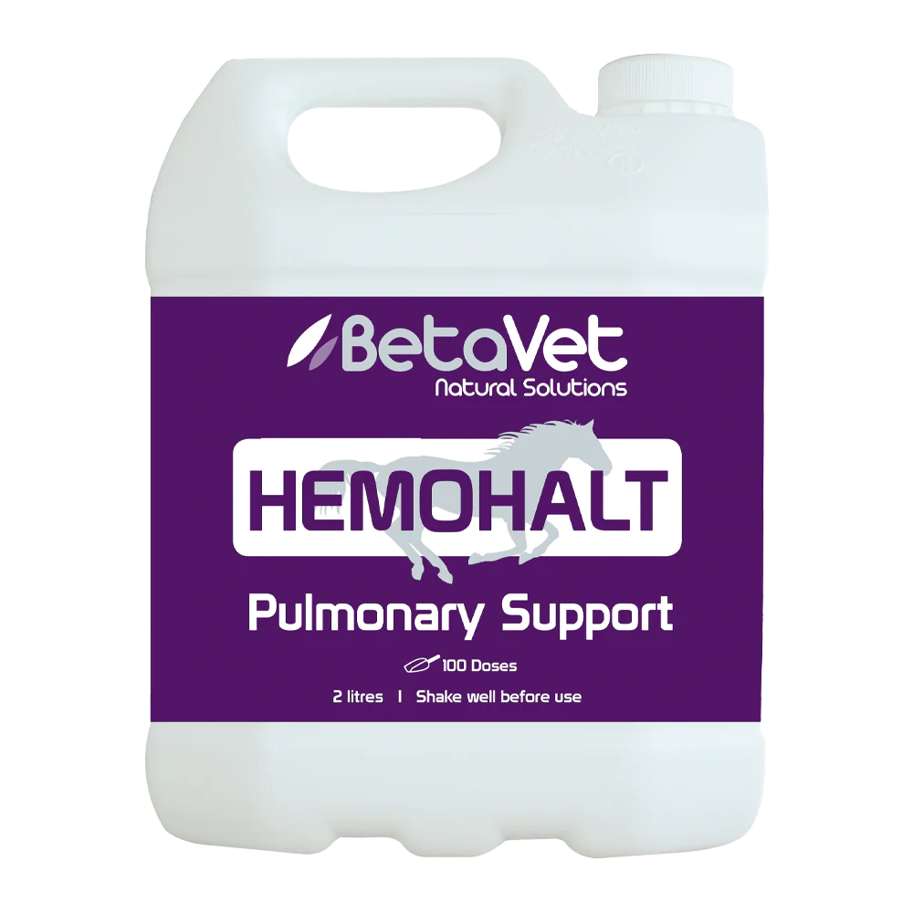 BetaVet - Hemohalt