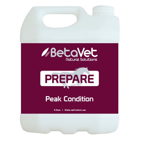 BetaVet - Prepare