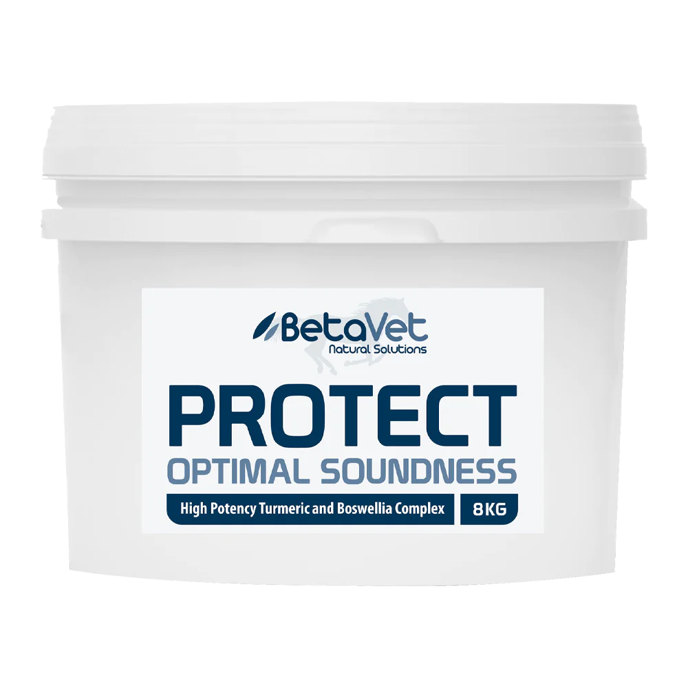 BetaVet - Protect