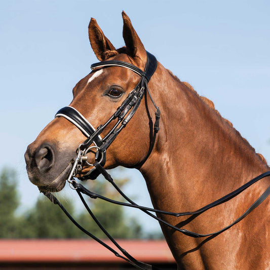 ACAVALLO - Gioconda Bridle Calfskin & Double Reins