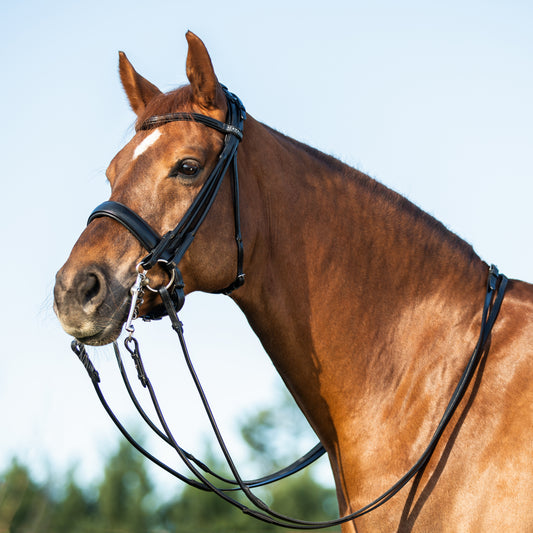 ACAVALLO - Parnaso Bridle Calfskin & Double Reins