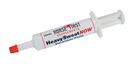 HORSE FIRST - HeavySweatNOW