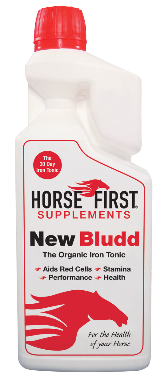 HORSE FIRST - New Bludd