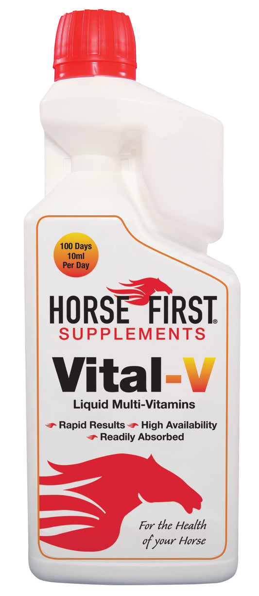 HORSE FIRST - Vital-V