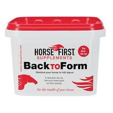 HORSE FIRST - BackTOForm