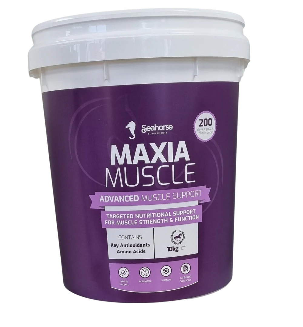 Seahorse - Maxia Muscle