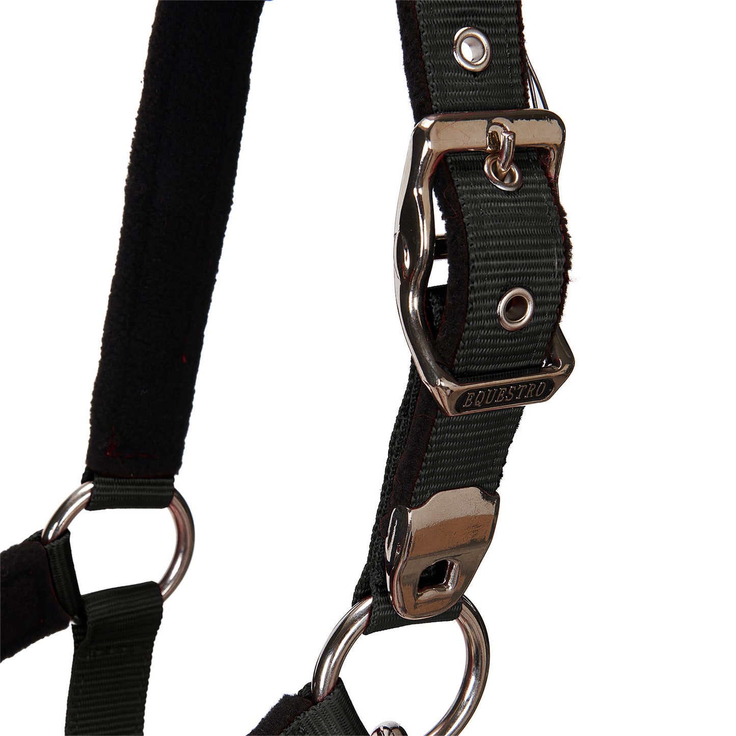 EQUESTRO - Halter with Leadrope