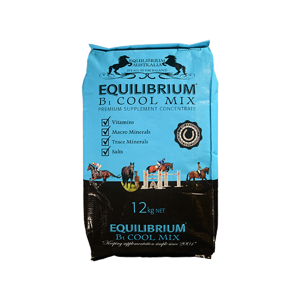 EQUILIBRIUM - B1 Cool Mix
