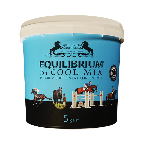EQUILIBRIUM - B1 Cool Mix