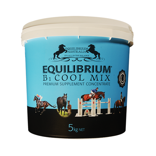 EQUILIBRIUM - B1 Cool Mix