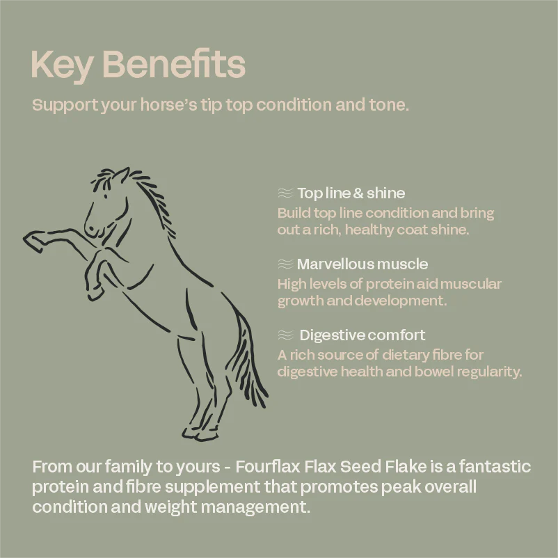 FOURFLAX - Flax Seed Flake