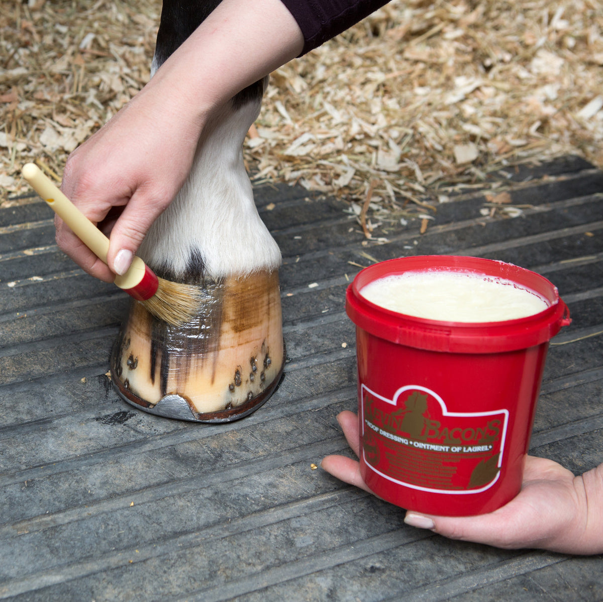 KEVIN BACON'S - Natural Hoof Dressing