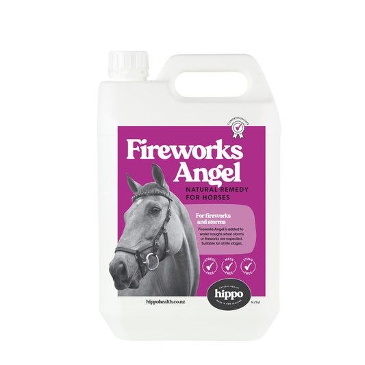 HIPPO HEALTH - Fireworks Angel