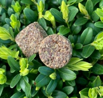 SF Friendlies Horse Treats