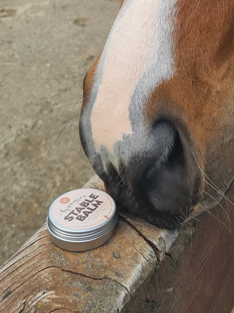 Stable Balm