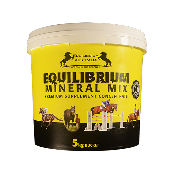 EQUILIBRIUM - Mineral Mix