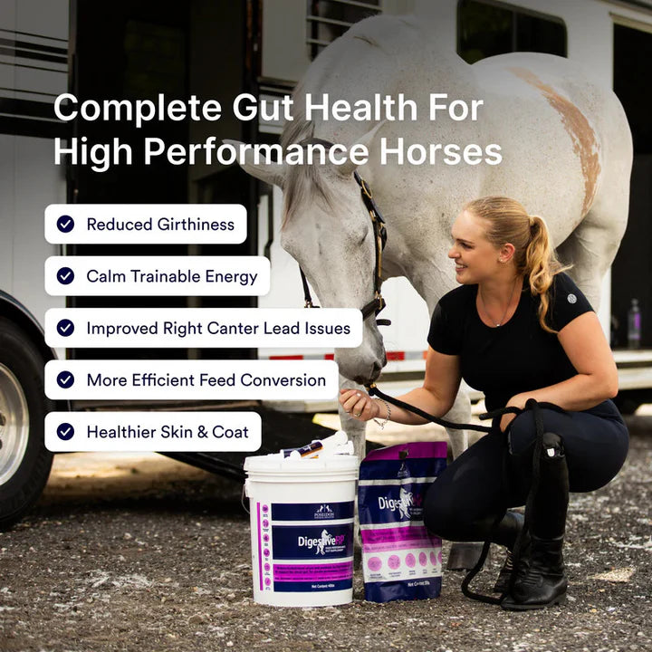 Poseidon Animal Health - Digestive HP