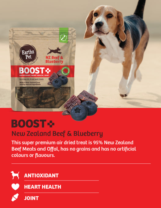 Earthz Pet BOOST+ Beef & Blueberry Air Dried DOG Treats