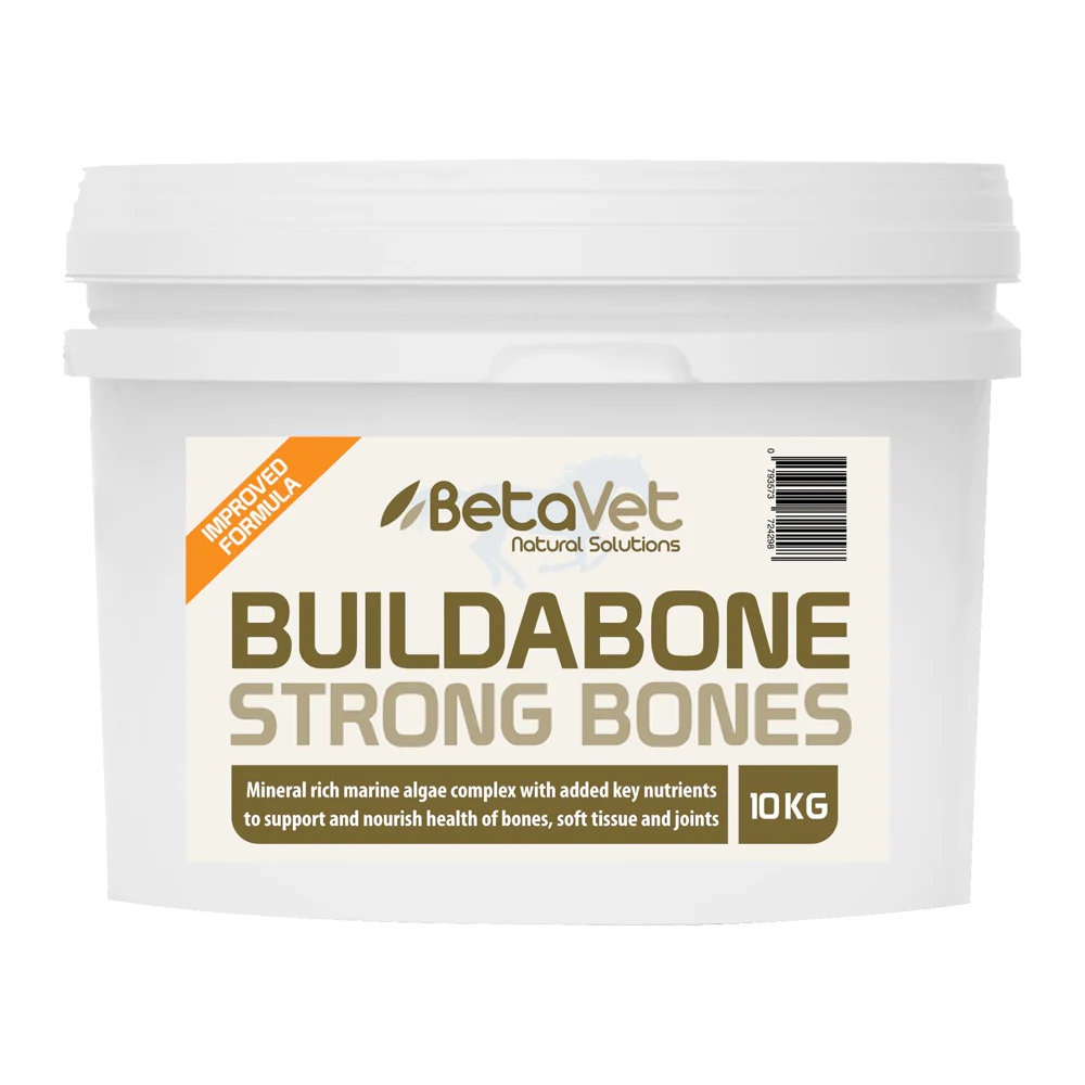 BetaVet - Buildabone